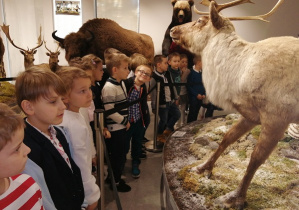 Dzieci oglądają jelenia